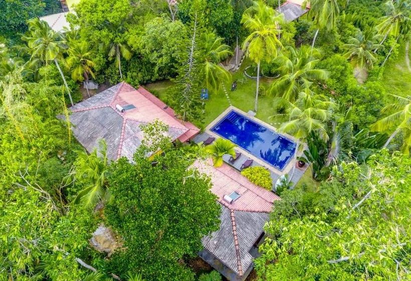 بنسيون Araliya Garden