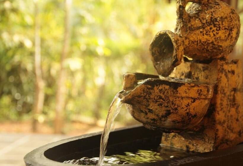 بنسيون Araliya Garden