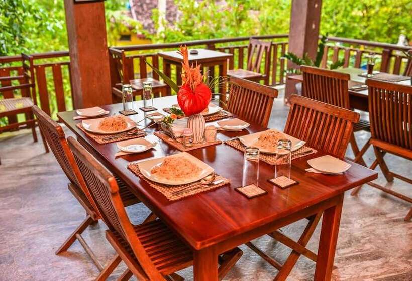 بنسيون Araliya Garden