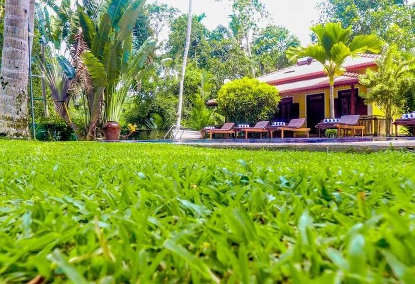 بنسيون Araliya Garden