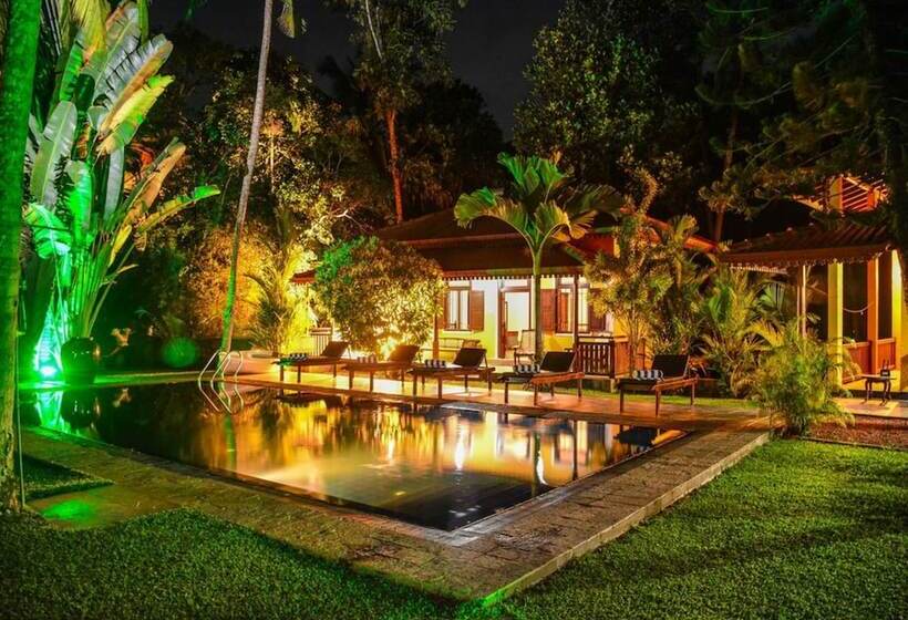 بنسيون Araliya Garden