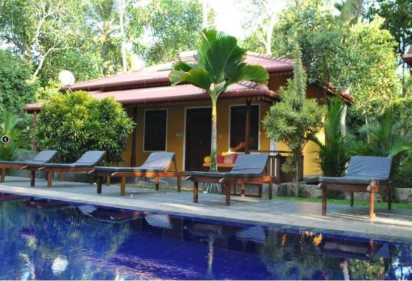 بنسيون Araliya Garden