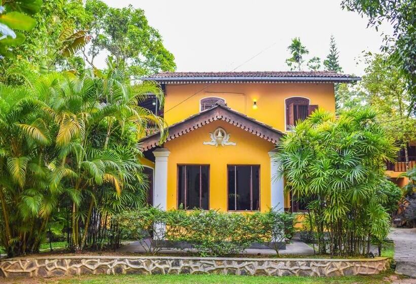 بنسيون Araliya Garden