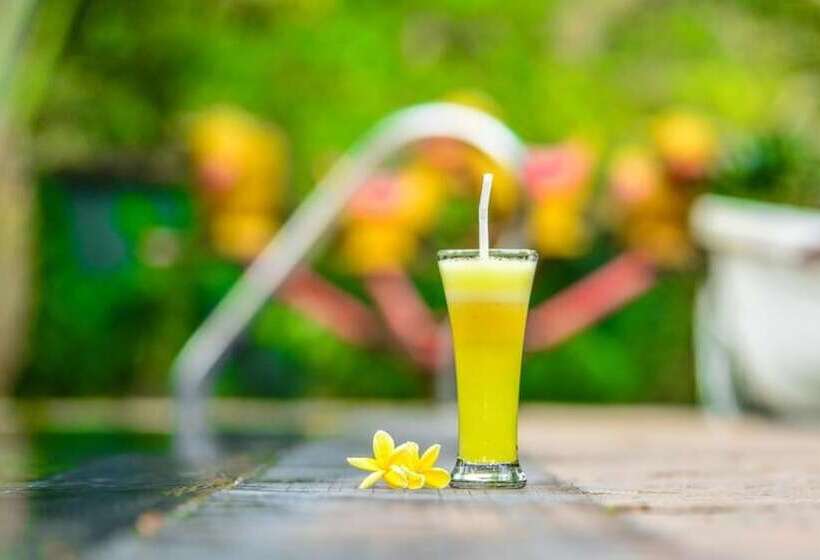 بنسيون Araliya Garden