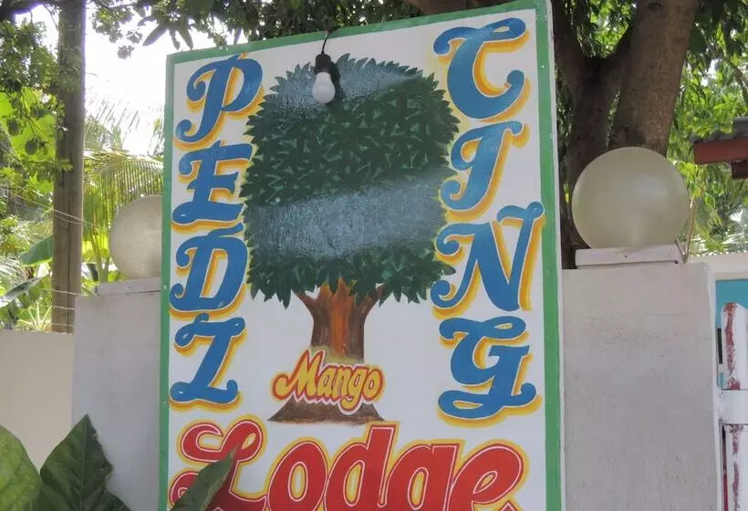 ペンション Pedz Cing Mango Lodge