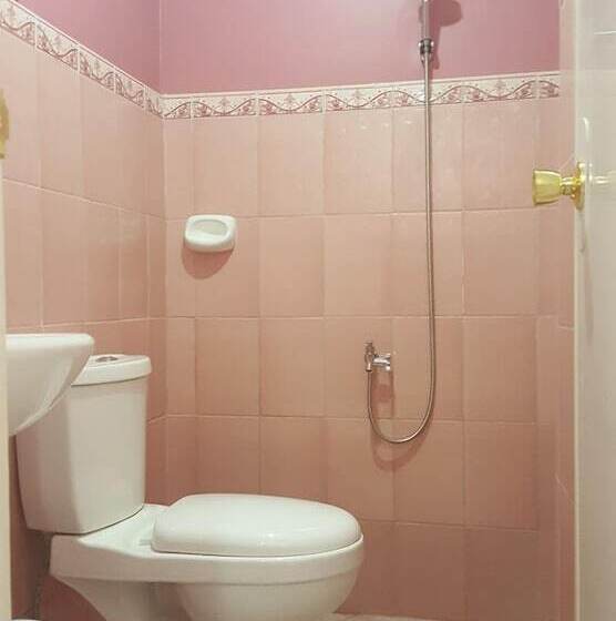 Pensiune Pedz Cing Mango Lodge