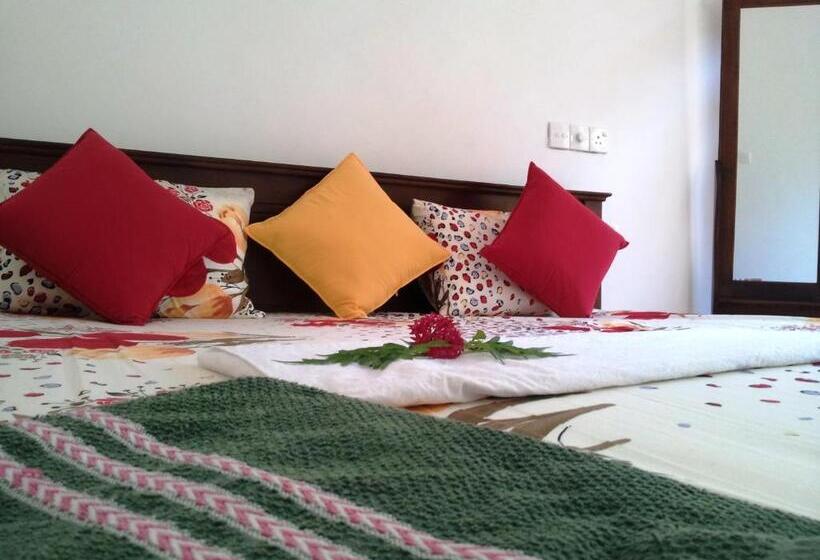 Pensió Sky Garden Mini