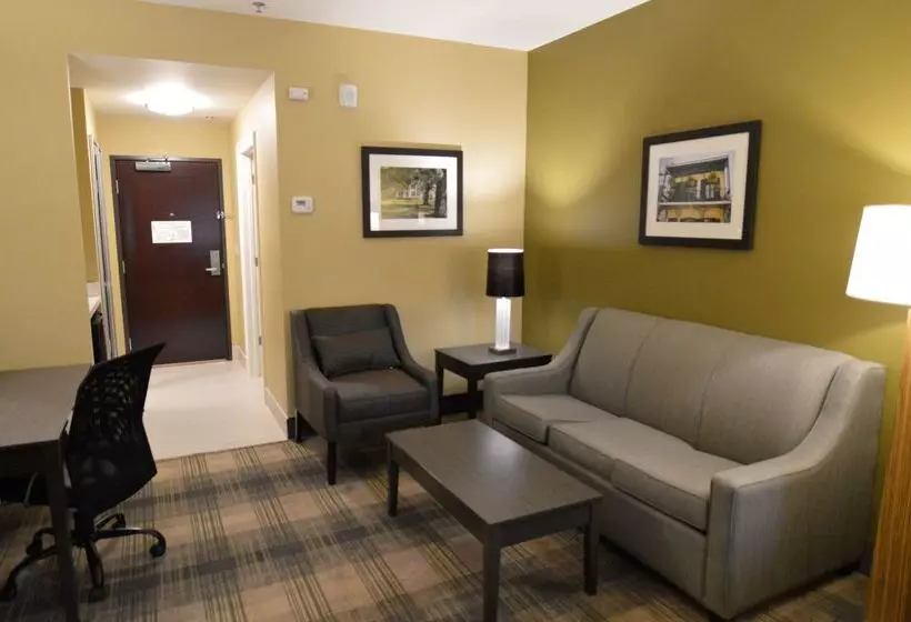 ホテル Best Western Plus New Orleans Airport