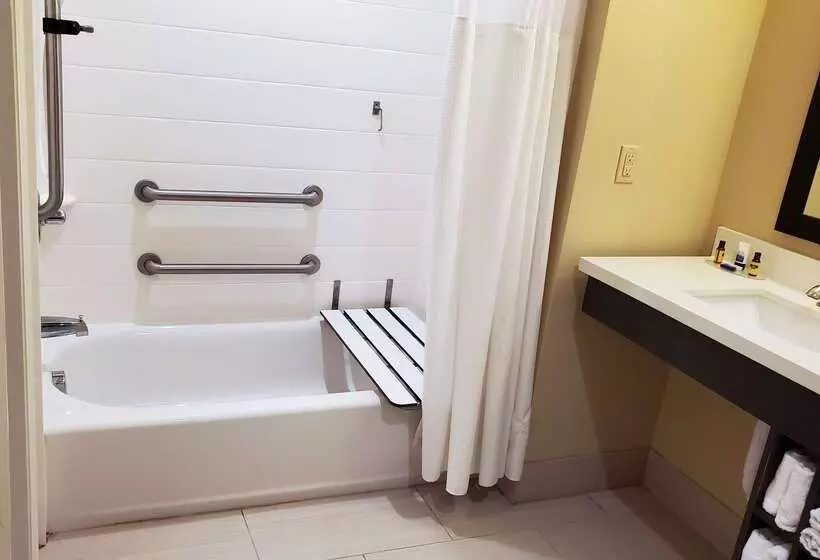 ホテル Best Western Plus New Orleans Airport