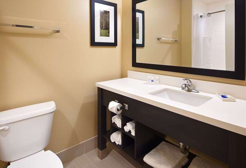 호텔 Best Western Plus New Orleans Airport