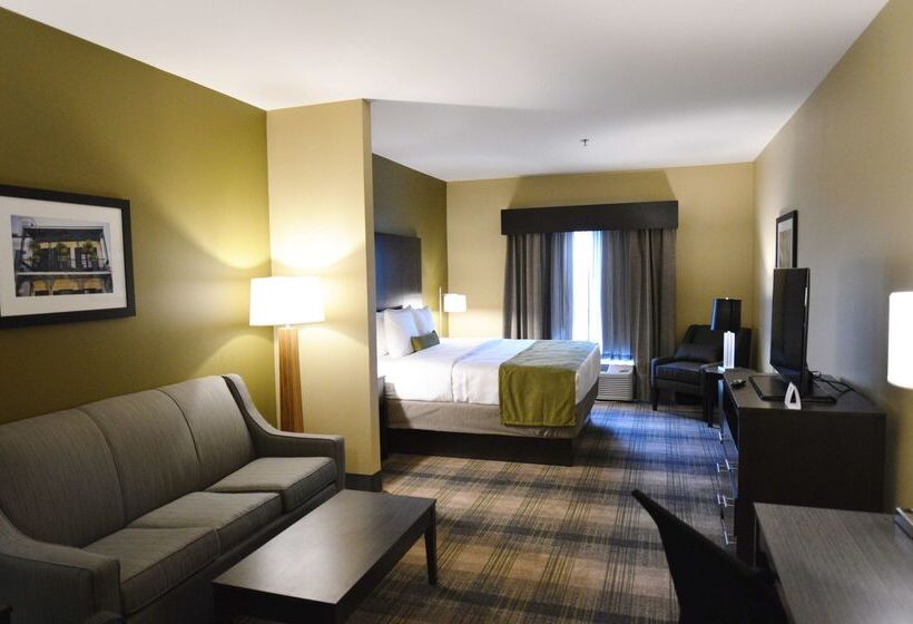 호텔 Best Western Plus New Orleans Airport