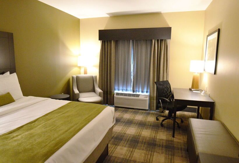 호텔 Best Western Plus New Orleans Airport