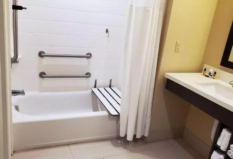 ホテル Best Western Plus New Orleans Airport