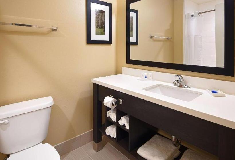 호텔 Best Western Plus New Orleans Airport