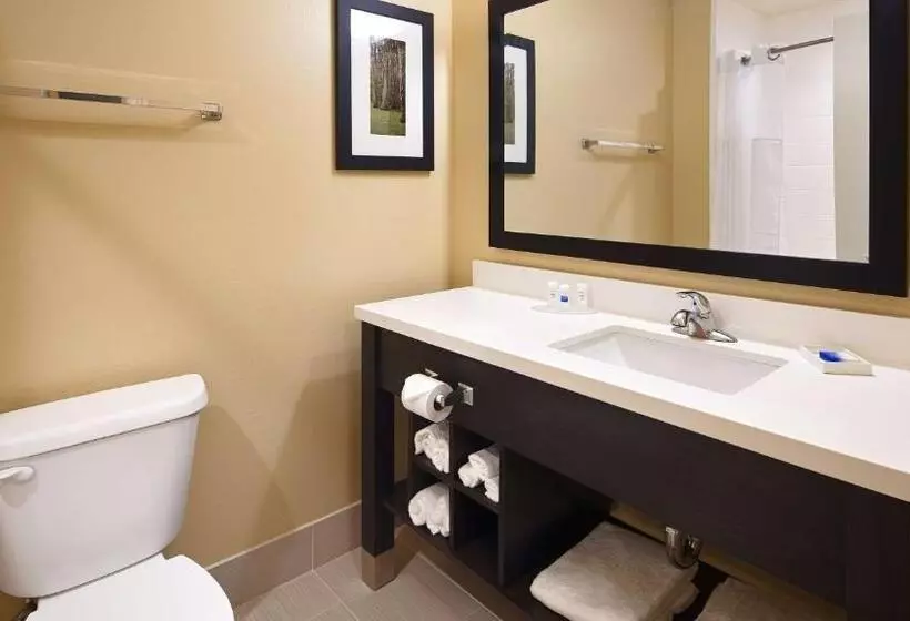 ホテル Best Western Plus New Orleans Airport