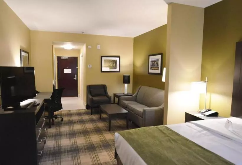 ホテル Best Western Plus New Orleans Airport
