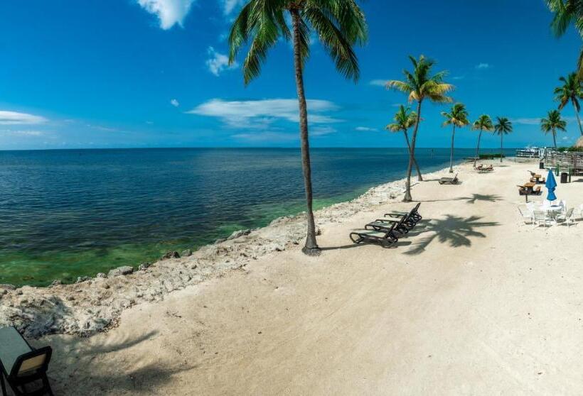 호텔 Caloosa Cove Resort