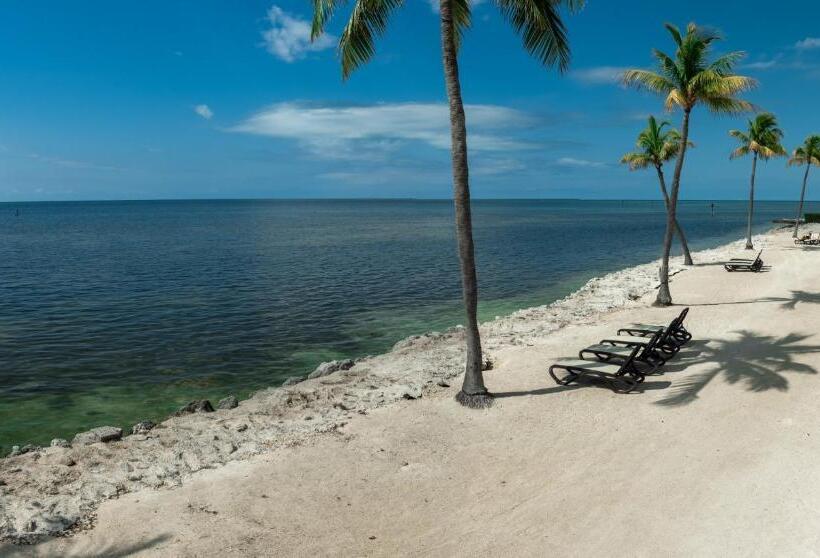 호텔 Caloosa Cove Resort