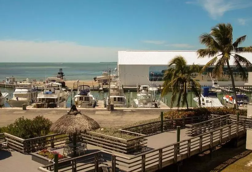 ホテル Caloosa Cove Resort