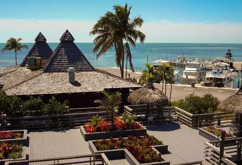 ホテル Caloosa Cove Resort