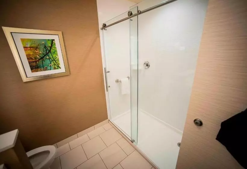 ホテル Fairfield Inn & Suites By Marriott Cincinnati Uptown/university Area