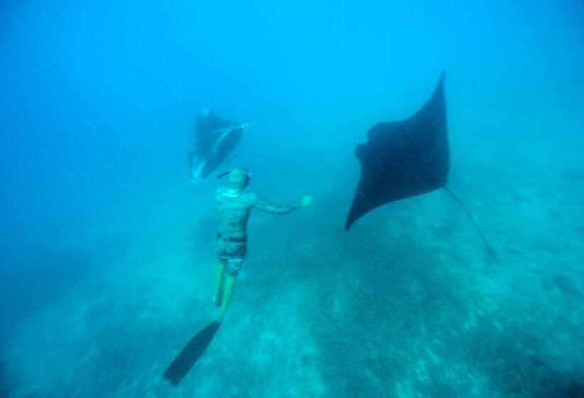 בית מלון כפרי Mantaray Island Resort