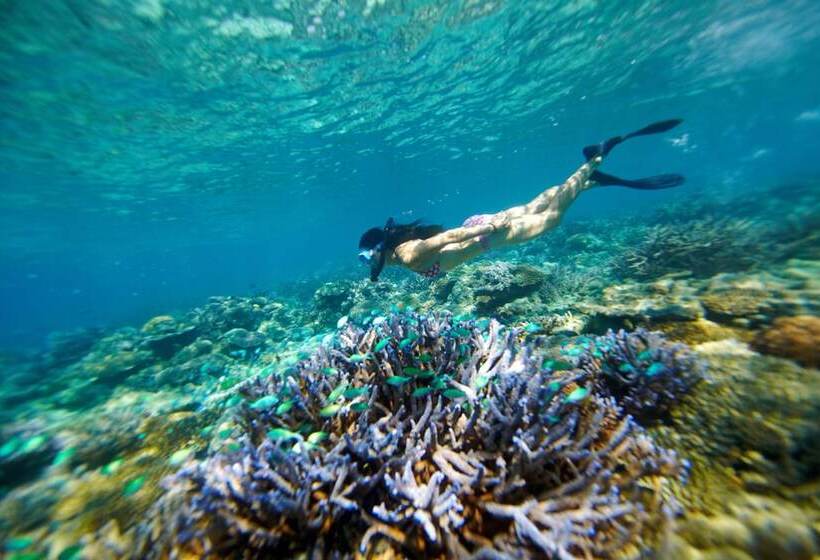 בית מלון כפרי Mantaray Island Resort