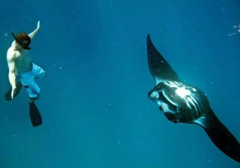 Hotelli Mantaray Island Resort