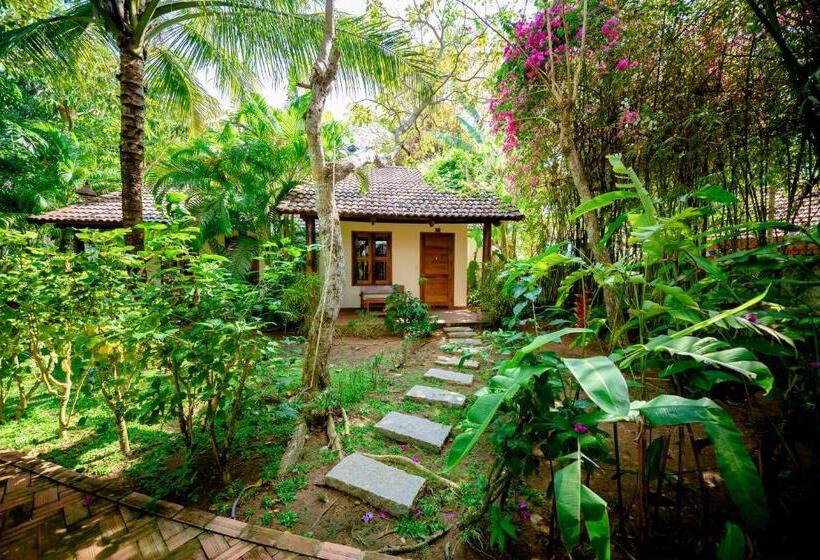 La Mer Resort, Phú Quốc