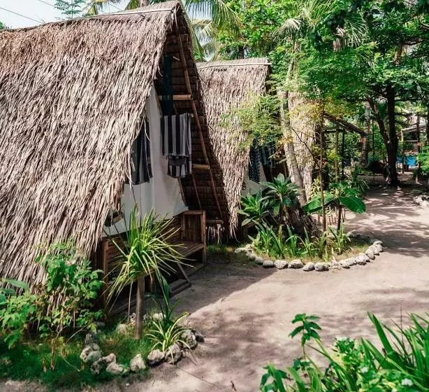 Georgia S Neverland Hostel