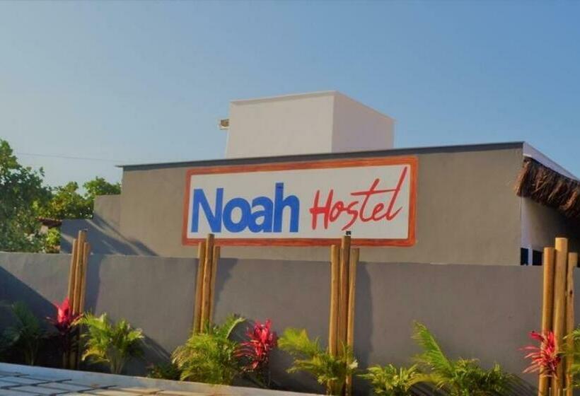 Noah Hostel & Chale