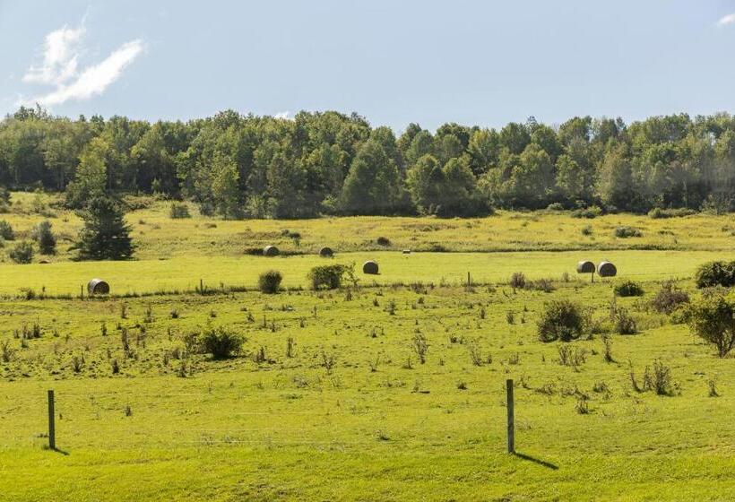 旅馆 Stony Fork Inn