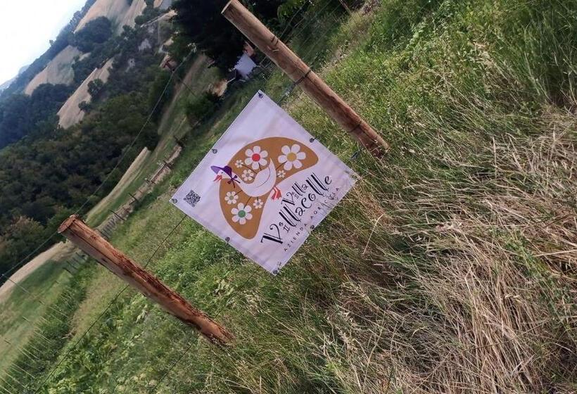 B&b Villa Villacolle