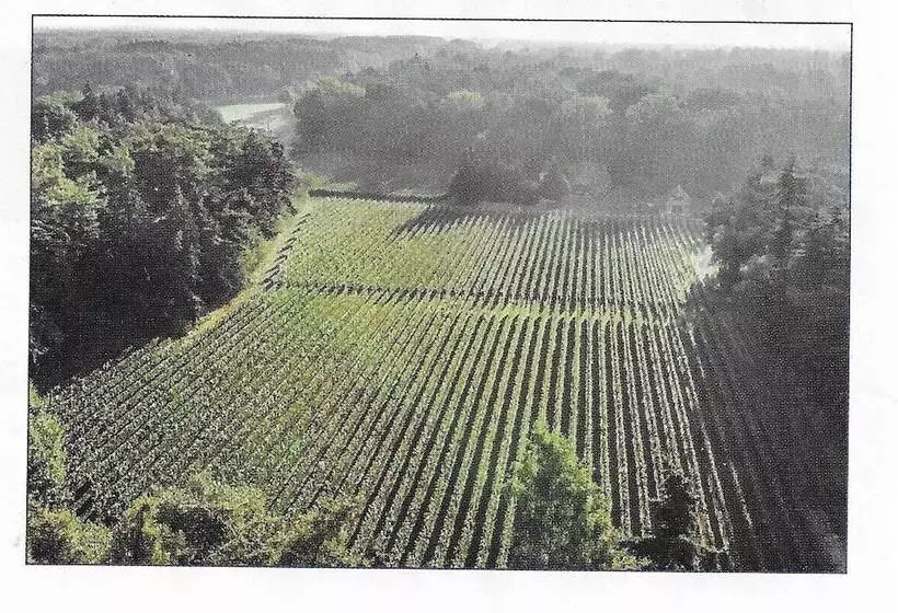 Aamiaismajoitus (B&B) Bnb Waterzicht