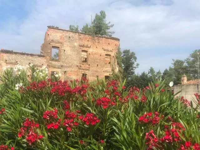 Aamiaismajoitus (B&B) Antico Borgo Di Liteggio