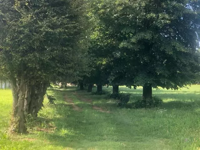 Aamiaismajoitus (B&B) Antico Borgo Di Liteggio