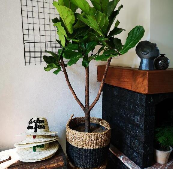 ベッドアンドブレックファースト Le Clos Des Fées