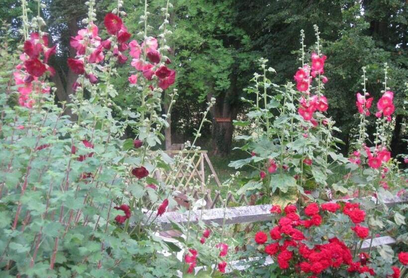 Bed and Breakfast Le Moulin De L`epinay