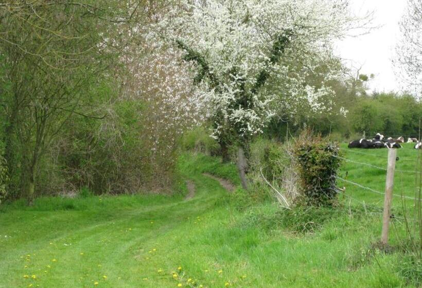 Bed and Breakfast Le Moulin De L`epinay