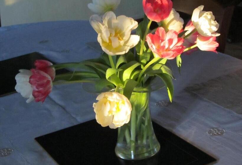 Bed and Breakfast Le Moulin De L`epinay