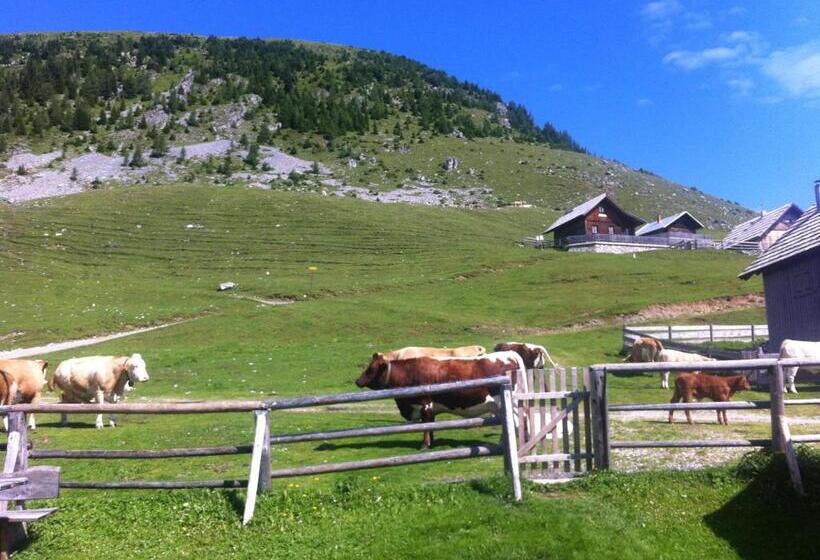 בית מלון כפרי Alte Post