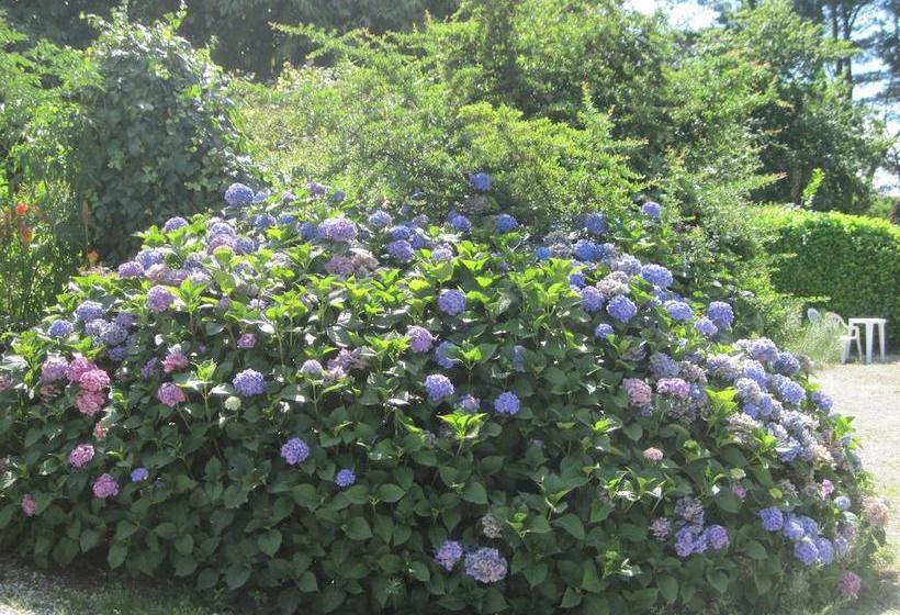 酒店 Le Relais De Porz Morvan