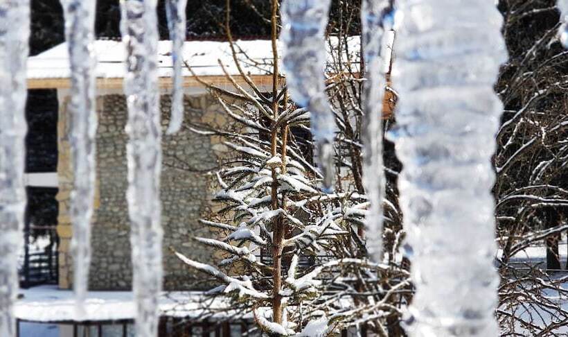 هتل Papa Noel Hostel