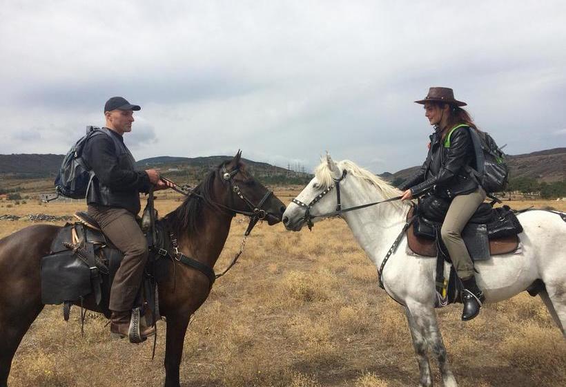 هاستل Alex's Cosy Guesthouse