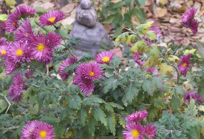 هاستل Alex's Cosy Guesthouse