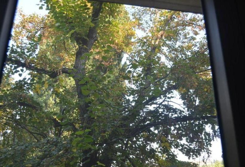 هاستل Alex's Cosy Guesthouse