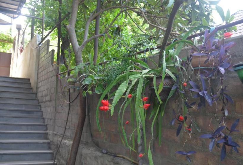 هاستل Alex's Cosy Guesthouse