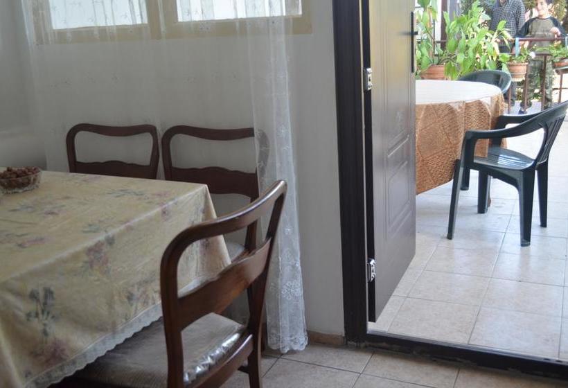 هاستل Alex's Cosy Guesthouse