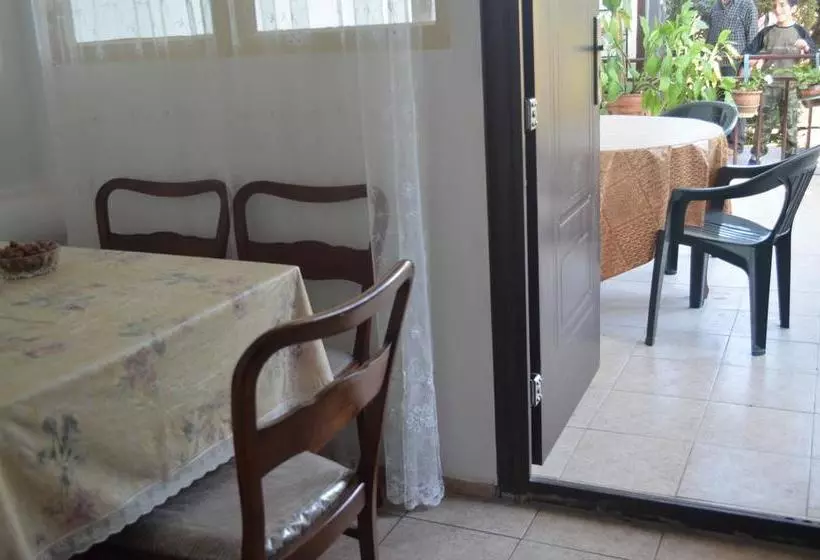 هاستل Alex's Cosy Guesthouse