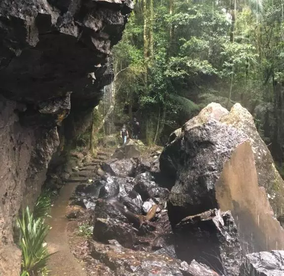 Majatalo Rosella S On Springbrook